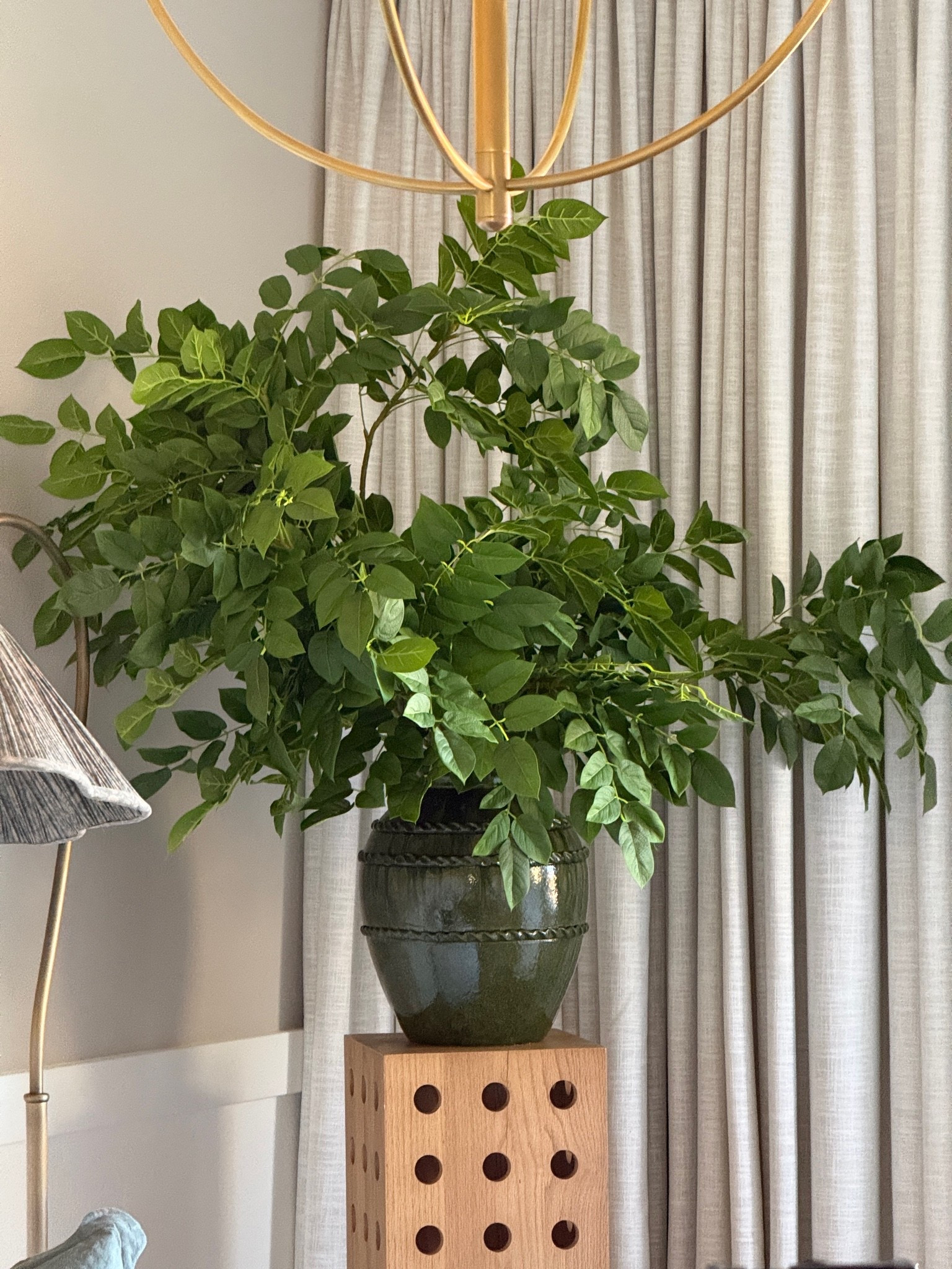 Long stems (8 in vase) - Code JILL20 for 20% off at Alice Lane Home

#LTKHome #LTKdayinmylife #LTKselfcare
