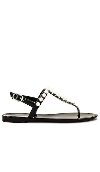 Goldie Jelly Sandal in Black | Revolve Clothing (Global)