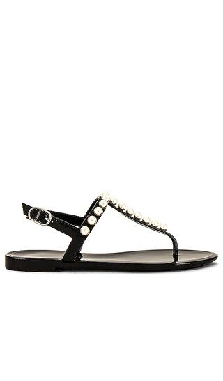 Goldie Jelly Sandal in Black | Revolve Clothing (Global)