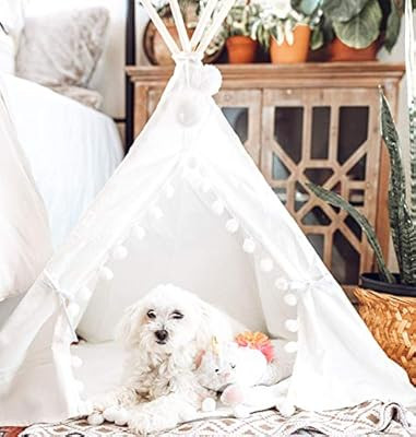 little dove Pet Teepee House Fold Away Pet Tent Furniture Cat Bed with Cushion 28 Inch White Pomp... | Amazon (US)