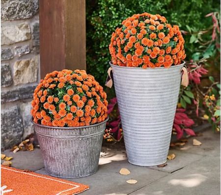 Faux mums are BACK this year! 

They come as a set of 2 and available in servers different color options. 

#LTKFind #LTKSeasonal #LTKunder50