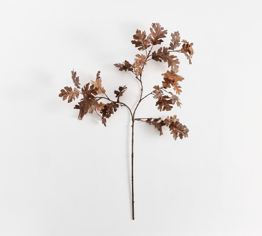 Oak Branch with Acorns 48", Chocolate | Pottery Barn (US)