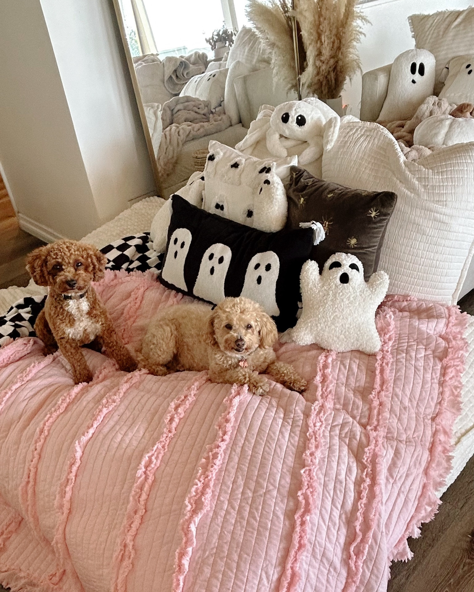 Cozy fall movie night inspo!

Movie night setup, cozy setup, movie setup, daybed, bean bag, adult bean bag, queen size daybed, amazon furniture, amazon home decor, fall home decor, amazon fall decor, amazon pillows, amazon blankets, throw blankets, cozy, cozy setup, cozy blankets, Halloween pillows, Halloween finds, amazon finds

#LTKHome #LTKFamily #LTKSeasonal