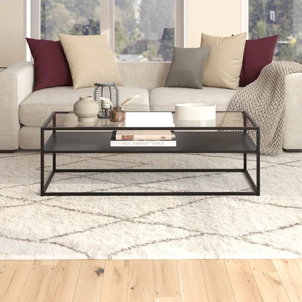 17" H x 54" W x 24" D Duran Storage Coffee Table | Wayfair North America