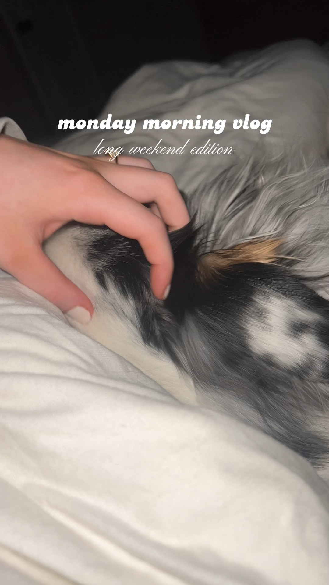 Morning Vlog - Long Weekend Edition 

#LTKhome #LTKFind #LTKfamily