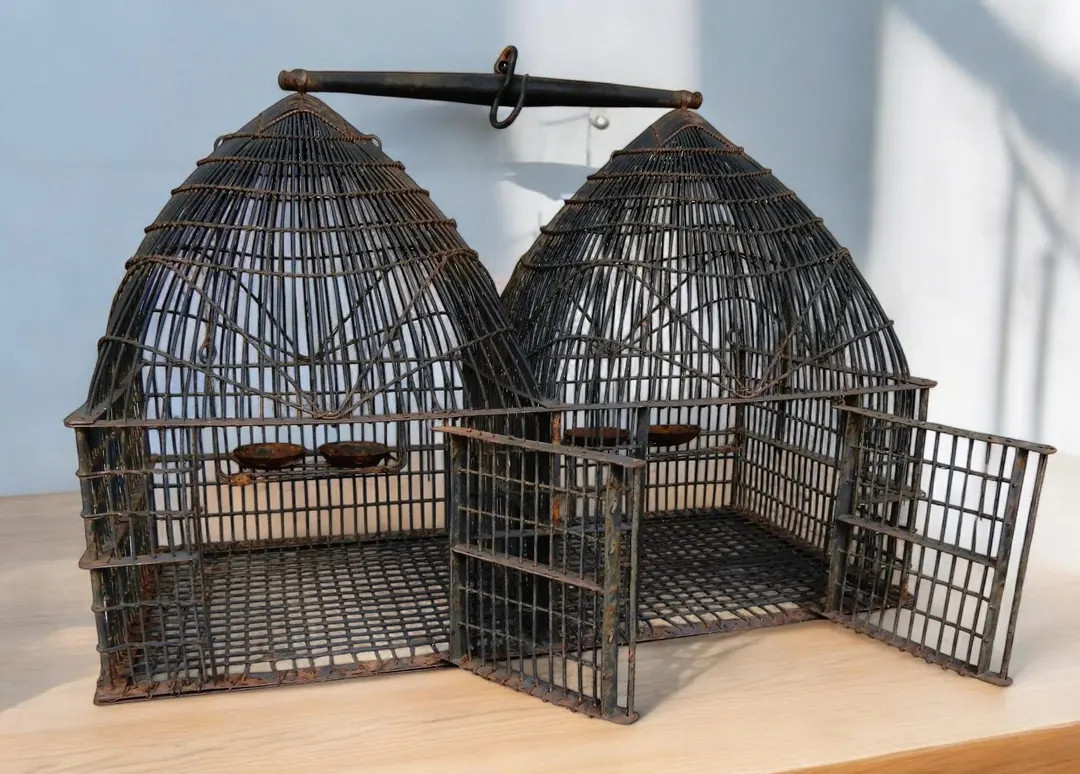 Late 1800's Co-joined Steel Wire Bird Cage - Etsy | Etsy (US)
