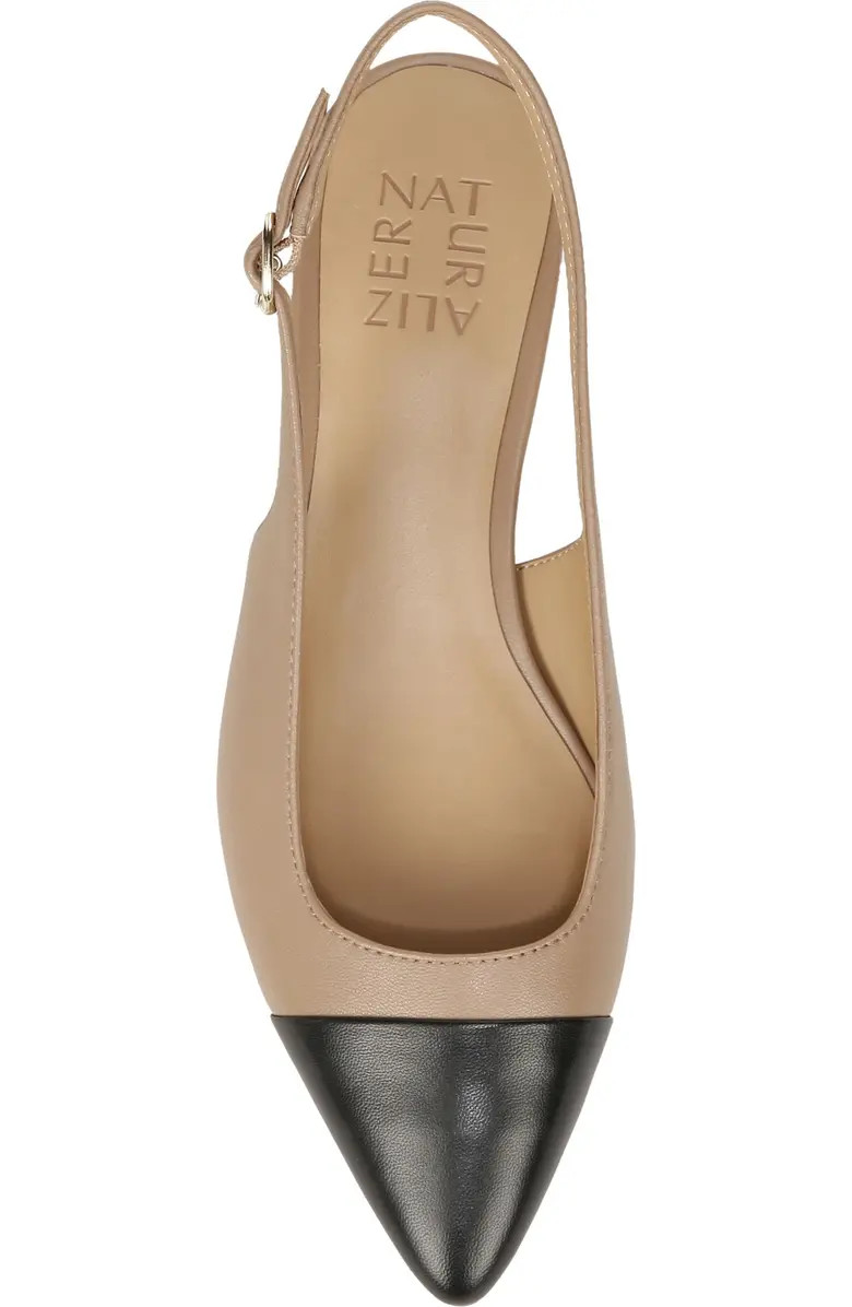 Banks Pointed Toe Slingback Pump (Women) | Nordstrom