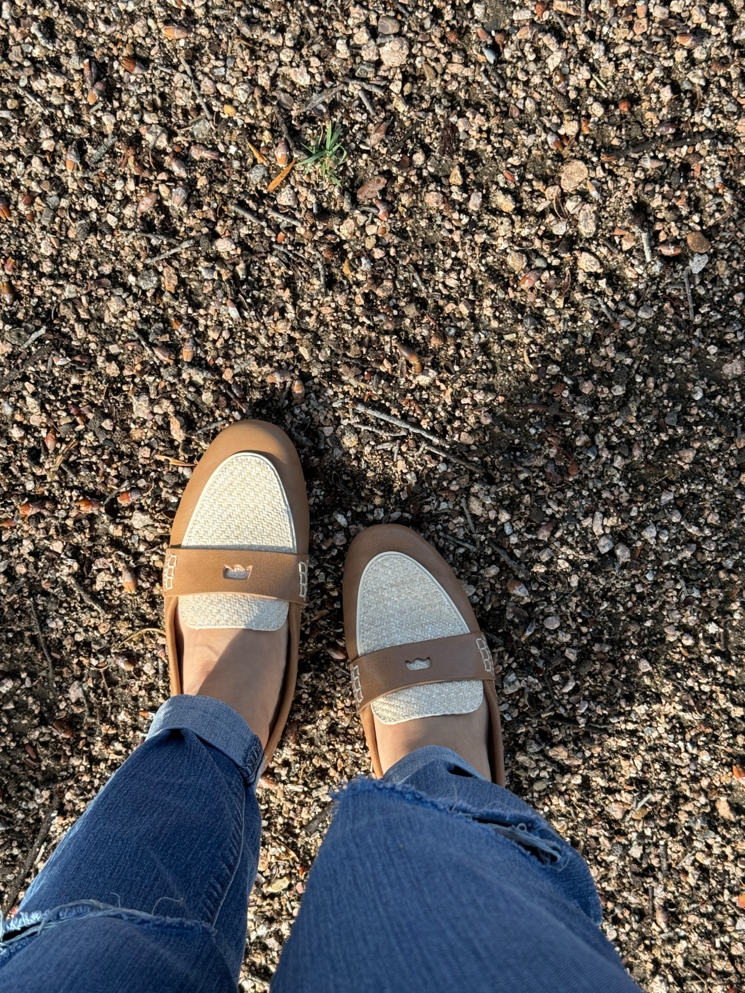 Today’s shoes— The Vesper Driver! 

Super cozy and vibey!



#LTKFallSale #LTKShoeCrush #LTKStyleTip