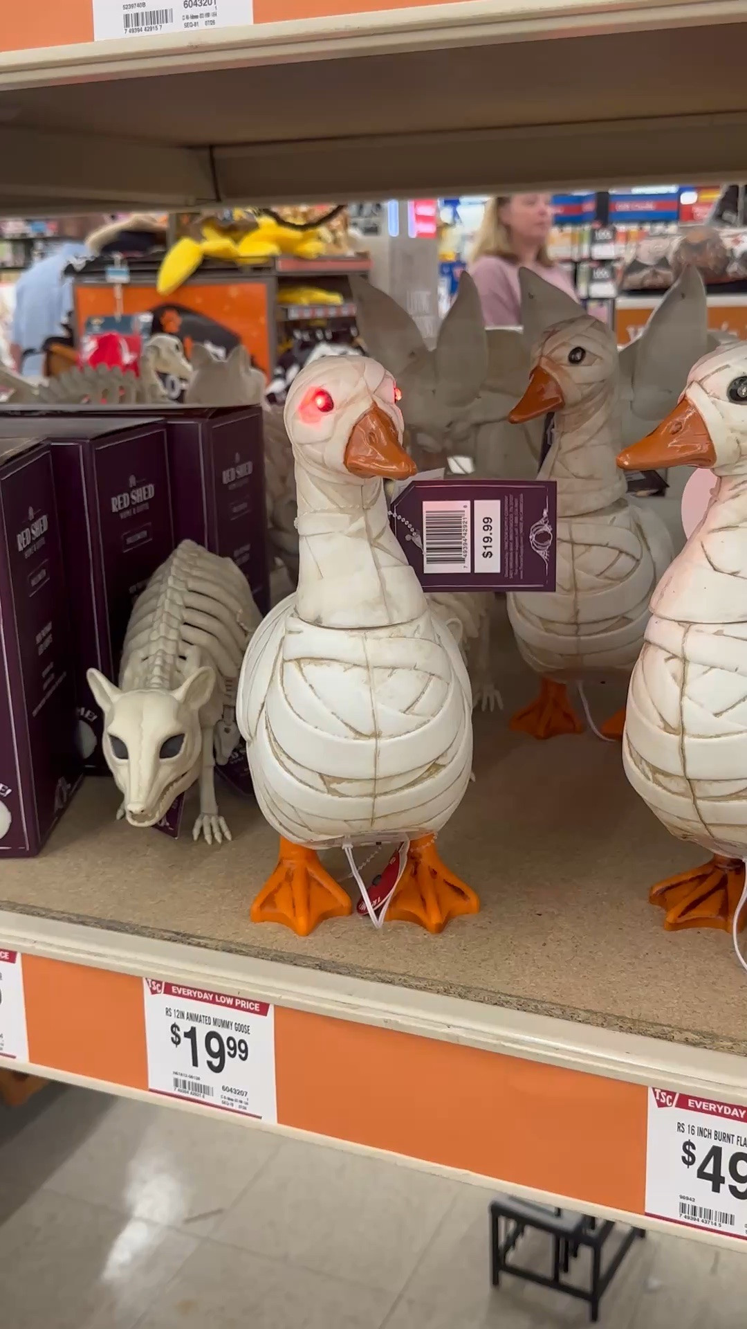 I mean LOOK at them!!! Mummy geese with glowing red eyes?!

Linked right here if your Halloween porch needs a mummy goose too!

#LTKdayinmylife #LTKSeasonal #LTKHome