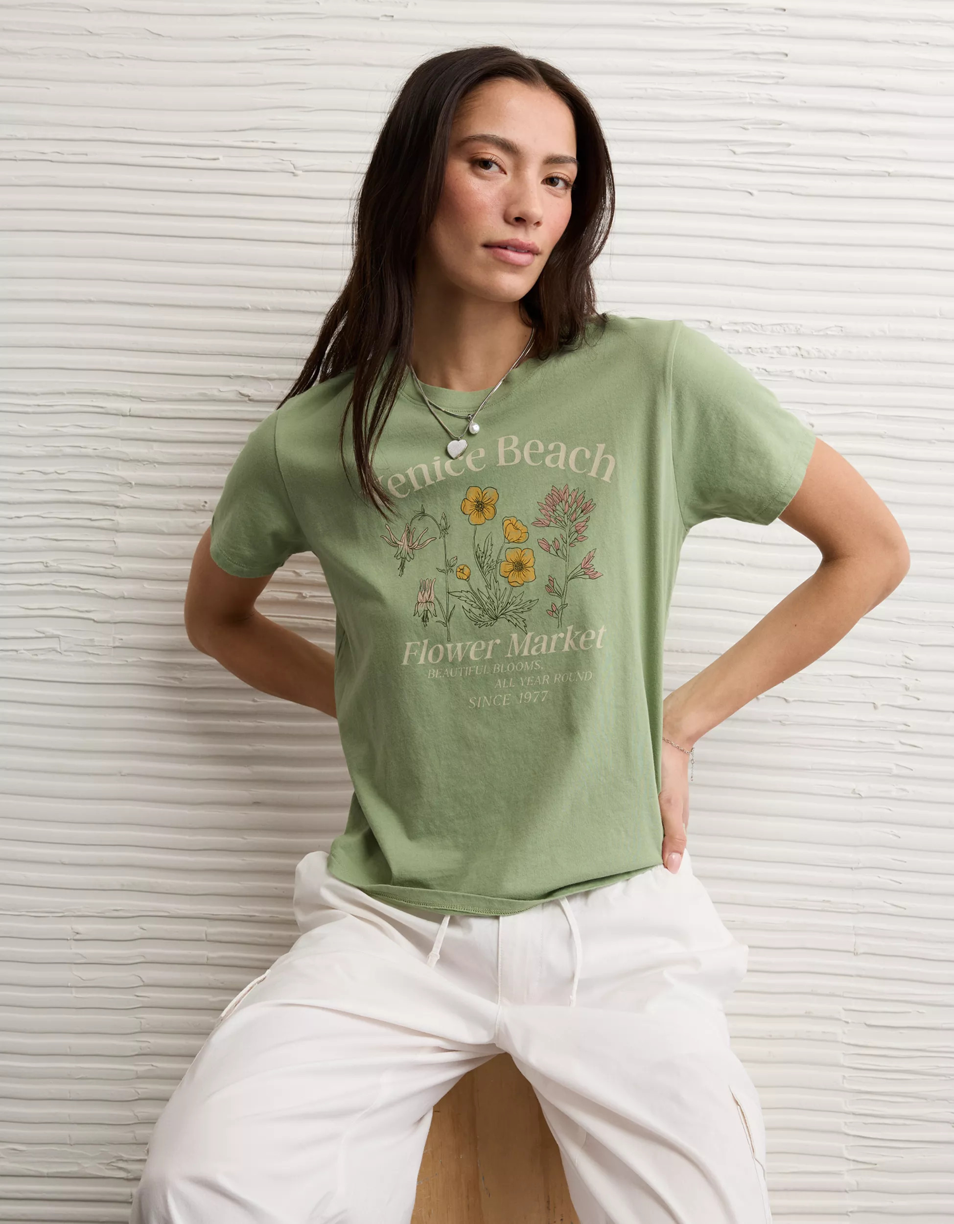 AE Everyday Graphic T-Shirt | American Eagle Outfitters (US & CA)