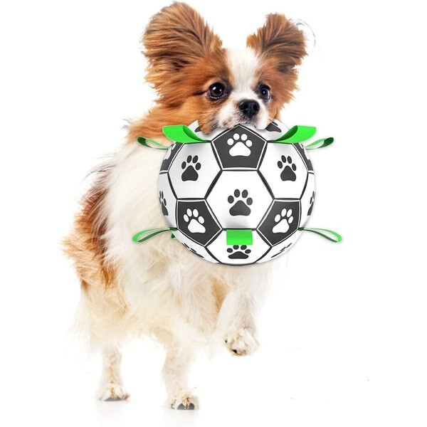 SUNGROW Soccer Ball Dog & Cat Toy - Chewy.com | Chewy.com