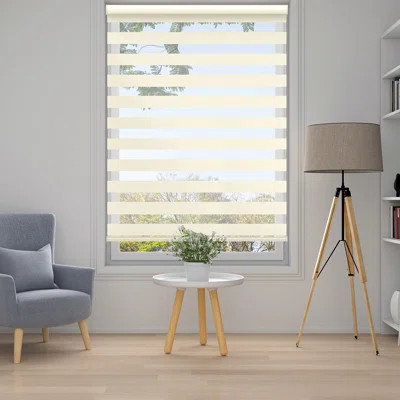 DELUXE PLAIN ZEBRA SHADE | Wayfair Professional