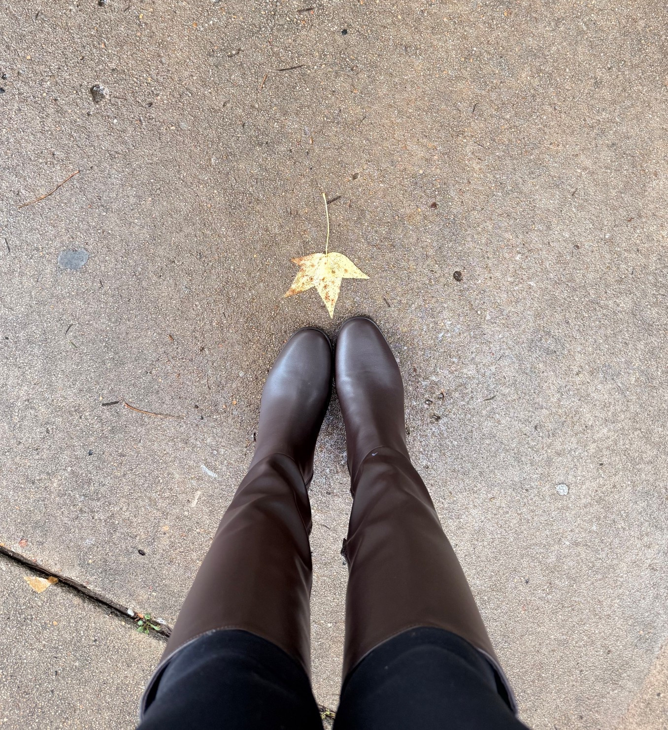 Perfect dark brown and burgundy Fall Boot 

#LTKFindsUnder100 #LTKSeasonal #LTKGiftGuide