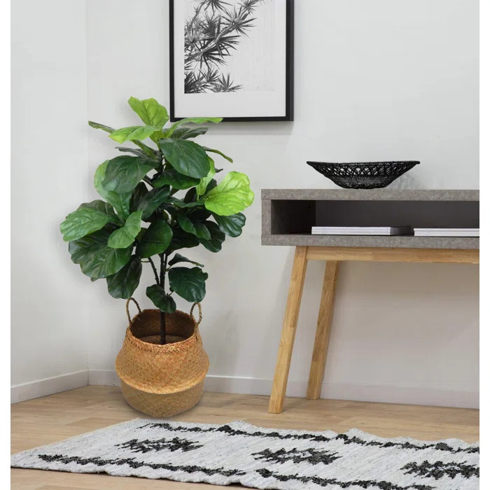 Fiddle Leaf Fig Tree in Basket | Wayfair North America