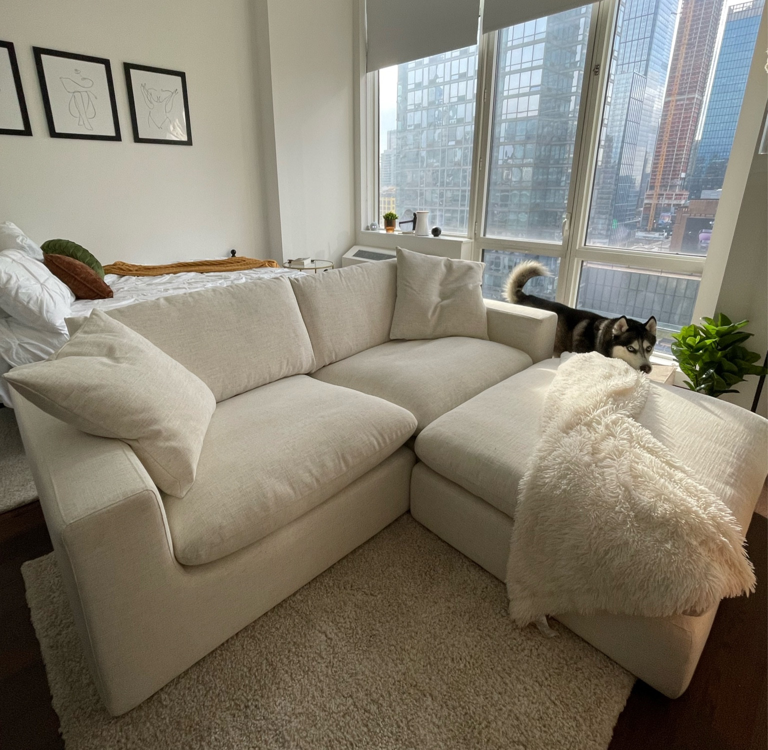 Love my new couch from Castlery! 

#LTKhome #LTKFind