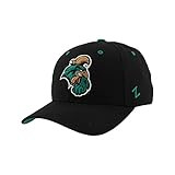 Zephyr NCAA Officially Licensed Snapback Hat Competitor Black | Amazon (US)
