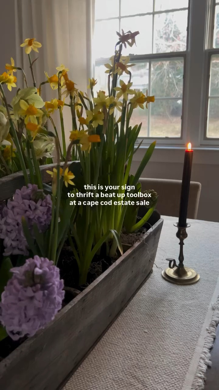 estate sales and thrift shops are not my natural thing — it takes training and time to figure out how to learn discernment!! I was particularly proud of myself for “seeing” a planter in this beat up old wooden toolbox that was marked for $15 in someone’s Cape Cod garage! It was a great find. People kept saying “good pick!” as I walked by with it. It’s lightweight, hand cut, and the perfect little spring bulb planter 🪻🪻🪻

diy, garden, potted plant, cape cod thrifting, thrifted, repurposing gardening ideas, spring bulb planter idea, daffodil arrangement, spring bulb arrangement 

#LTKSeasonal #LTKHome