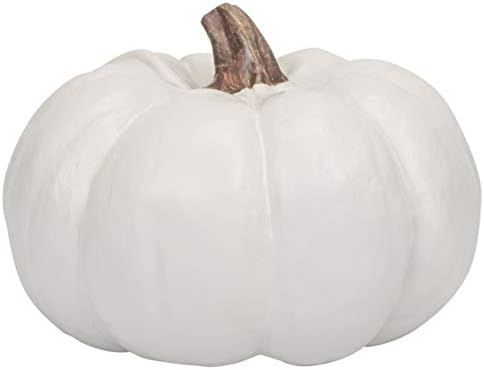 Elanze Designs Classic White 6 inch Resin Harvest Decorative Pumpkin | Amazon (US)