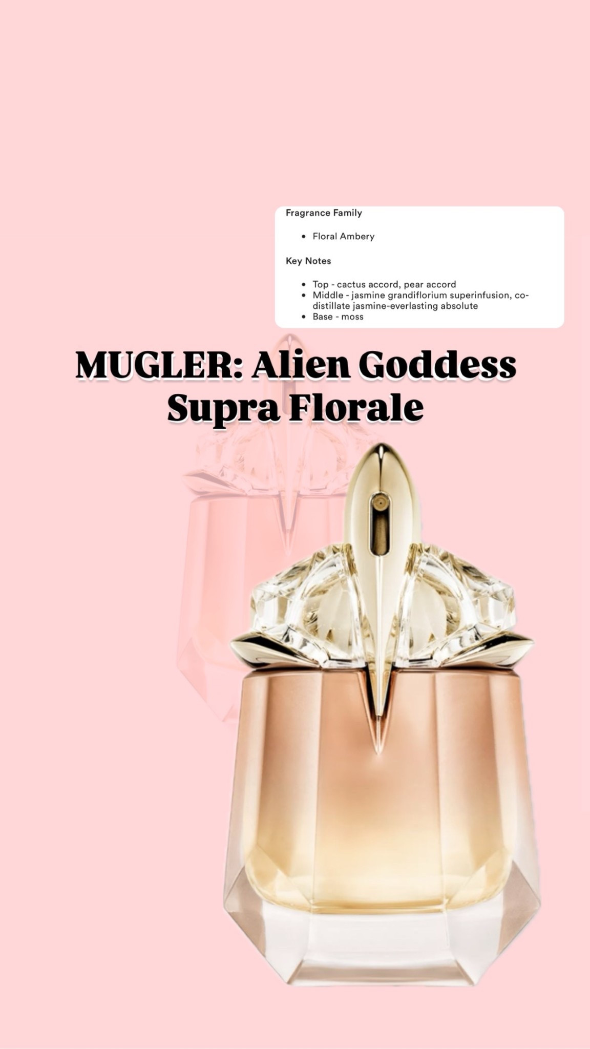 50% OFF TODAY ONLY <$50

Floral Amber Notes 

#LTKBeauty #LTKSeasonal #LTKWorkwear