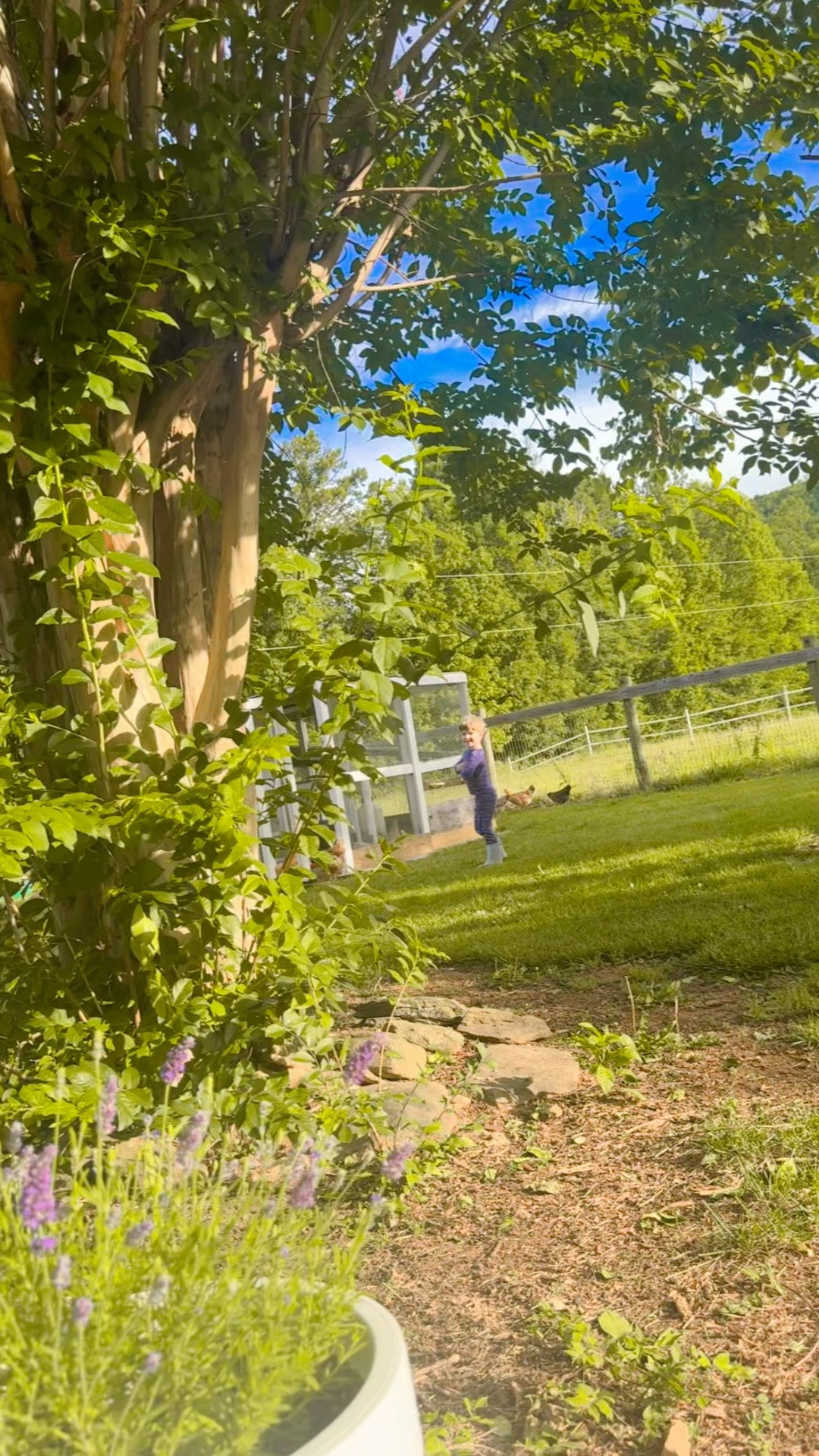 Will never ever get over that *this* is my backyard view out here on the farm each morning… what an actual dream 💭 come true!! God’s plans are immeasurably more than you can ask, dream, or imagine sweet friends!! 🌳🐴🌾