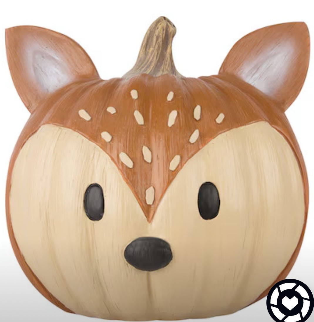 My favorite pumpkin! Fall is coming and this is my favorite decoration! 

#LTKFindsUnder50 #LTKSeasonal #LTKHome