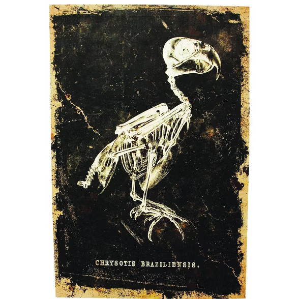 24" Halloween Bird Canvas | Target