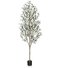OAKRED Artificial Olive Tree 6ft, Lush Faux Olive Tree for Indoor with Natural Wood Trunk and Lif... | Amazon (CA)