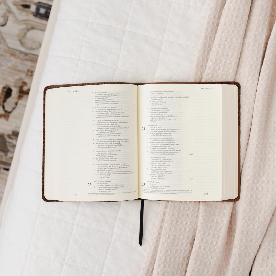 ESV Single Column Journaling Bible® - Treasured | The Daily Grace Co.
