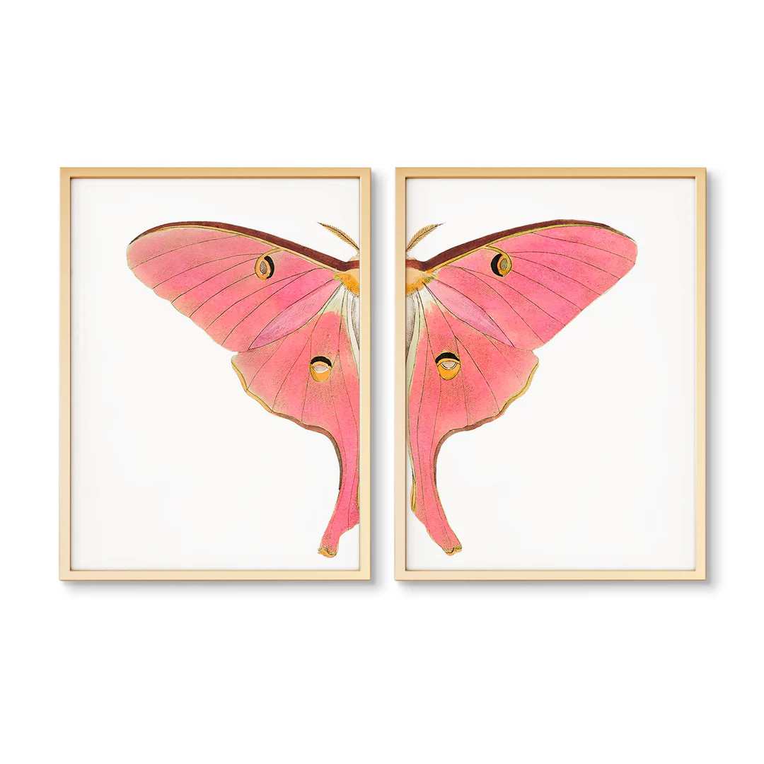 Summer Breeze Butterfly Split | Urban Garden Prints