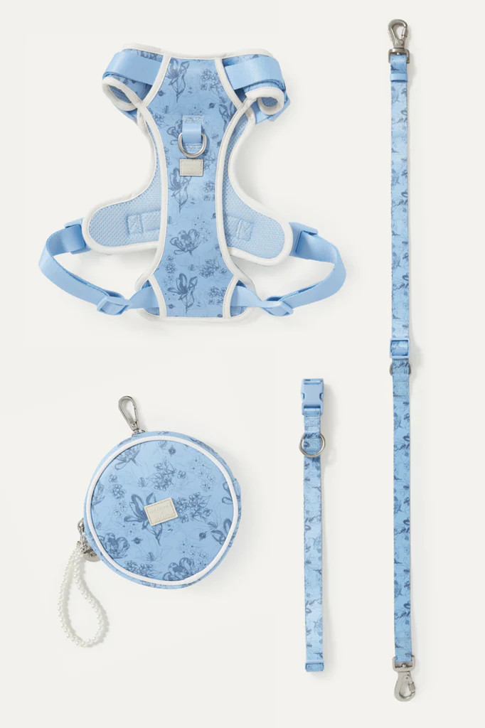 Bridgerton x maxbone Walk Set | max-bone
