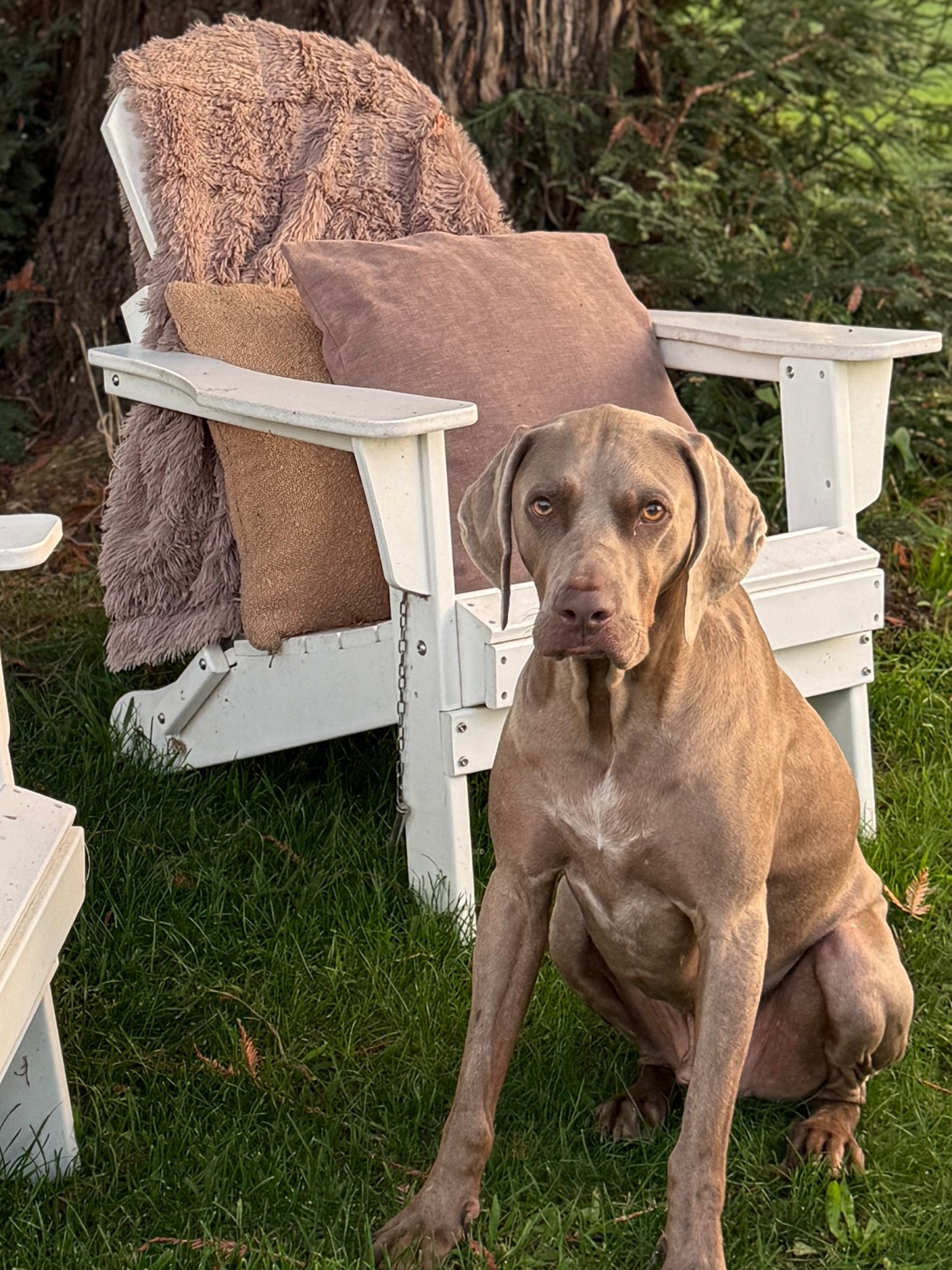 Our favorite Adirondack chairs are up to 80% off with free shipping at the @wayfair Way Day sale! Don’t miss out as the sale ends today! #wayfair #wayfairpartner #wayday 

#LTKHome #LTKSaleAlert #LTKGiftGuide