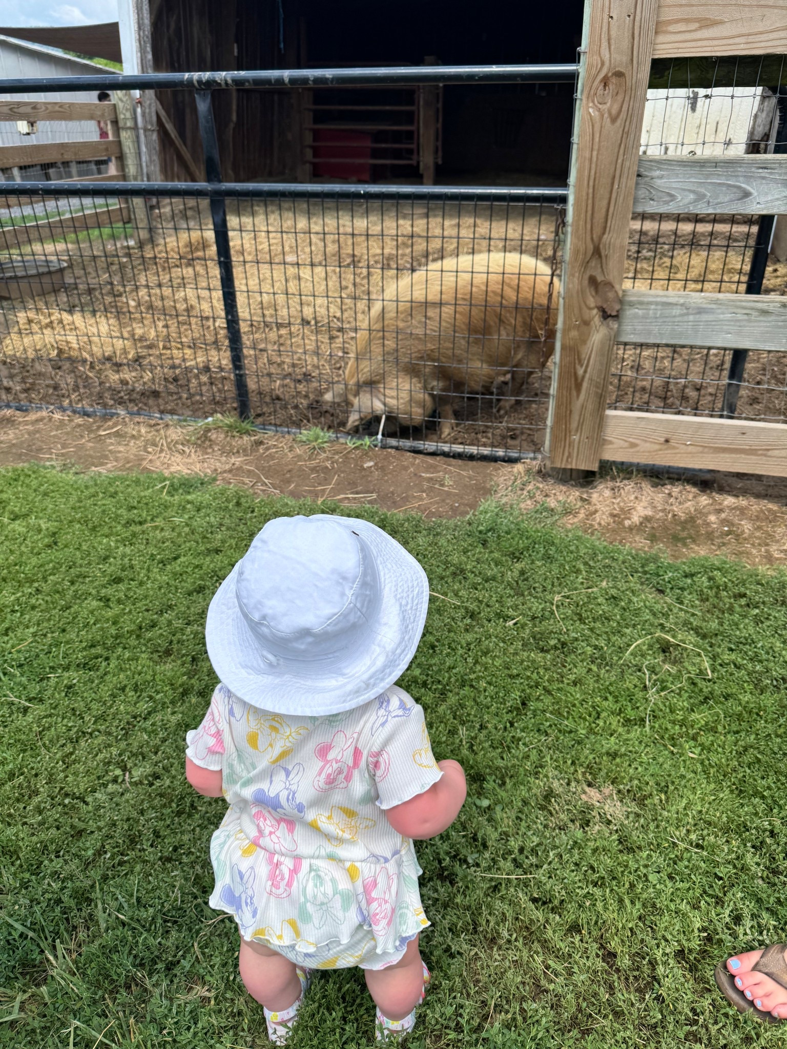 #LTKSeasonal #LTKBaby