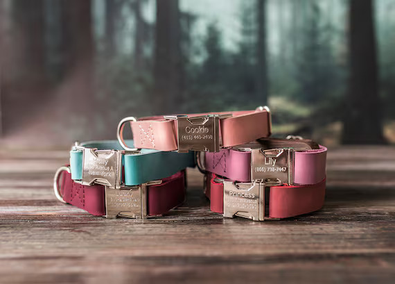 Leather dog collar, Personalized dog collar, Personalized leather dog collar, cat collar, leather... | Etsy (US)