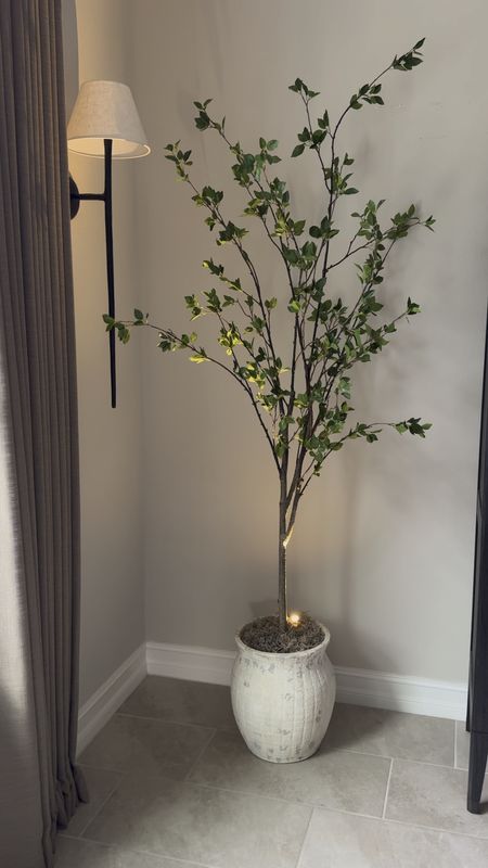 One pot styled two different ways! This pot from Pottery Barn is a decor staple for me. I love how versatile it is.

Pottery barn pot, vase, terra-cotta vessel, faux citrus tree, faux magnolia stems, entryway decor, console table styling 