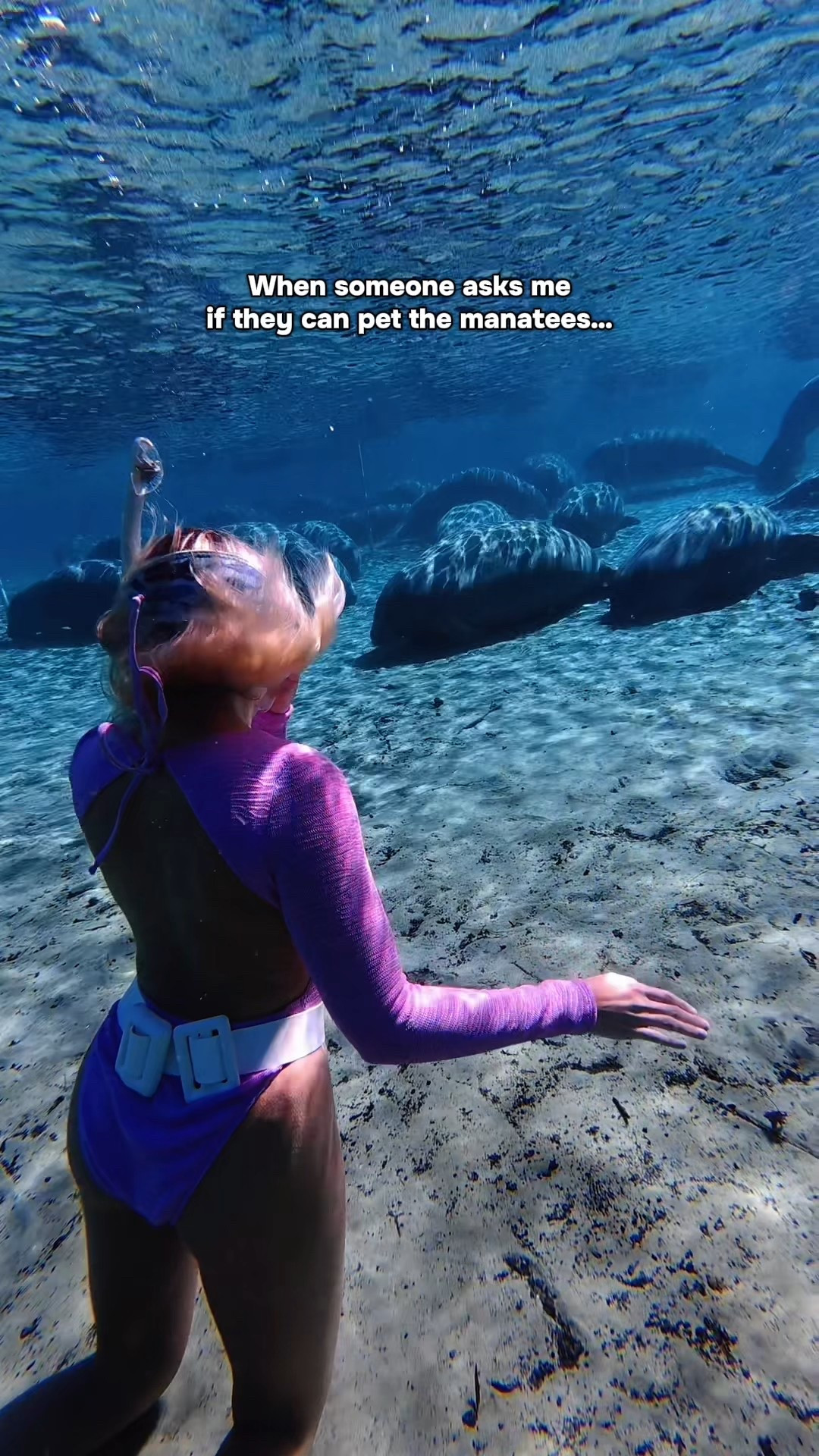 It might feel harmless to touch a manatee, but it’s actually illegal, and for good reason🥹

First, when people touch manatees, it can distrupt their natural behavior and cause stress that burns critical energy reserves.

Also, when manatees get used to people touching them (or feeding them), they may start approaching boats. That’s dangerous, because boat strikes are their leading cause of injury and death. This puts them at serious risk.

Love them from a distance. The best way to protect manatees is to let them stay wild. 💙

Follow along for more nature & adventure content!🩵🐬🐊🦦🐋🦈🏝️

#manatees #ocean #freediving #florida #conservation 

#LTKstorytime #LTKTravel #LTKvlog