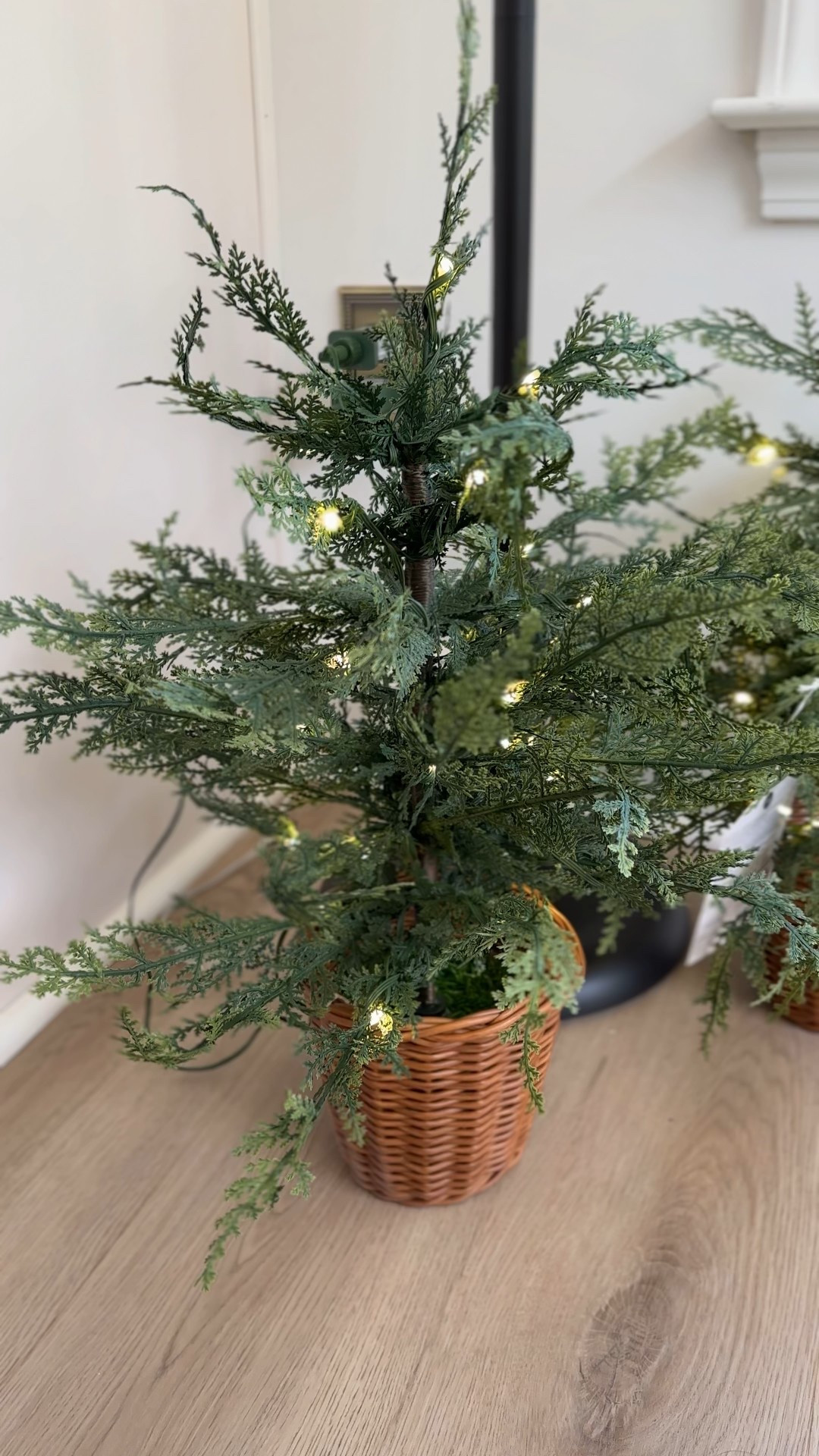 I can’t get over how precious these little 24inch trees are new from the Texas house like at Walmart this year 

#LTKFindsUnder50 #LTKSeasonal #LTKHome