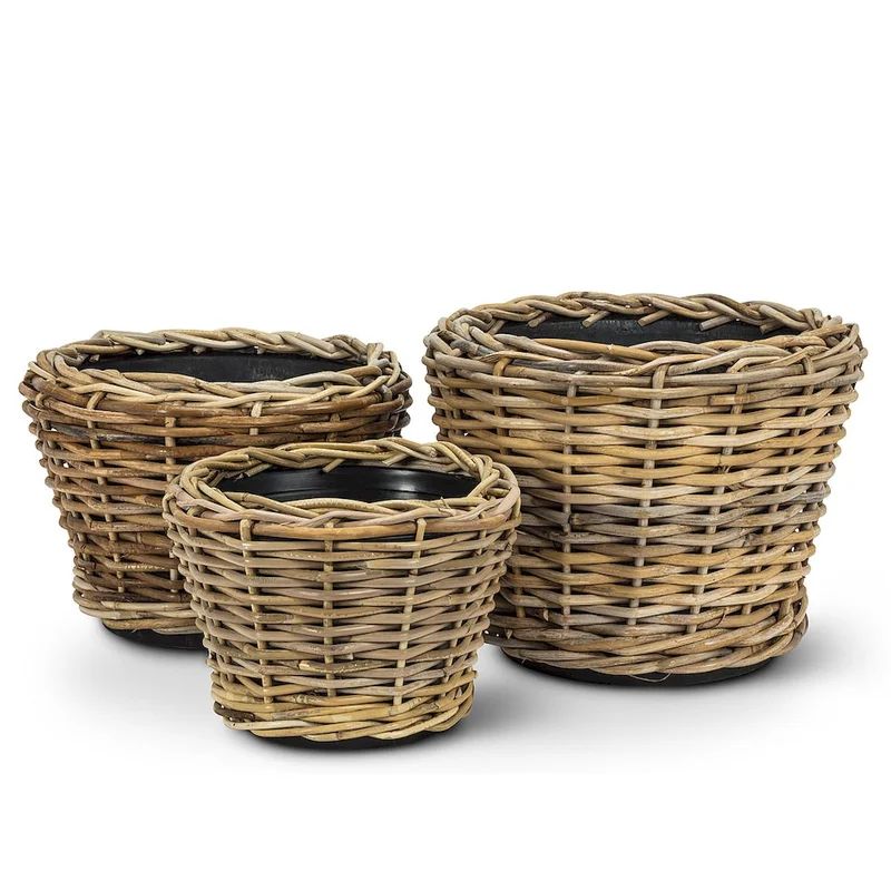 Carruth Plastic Pot Planter | Wayfair North America