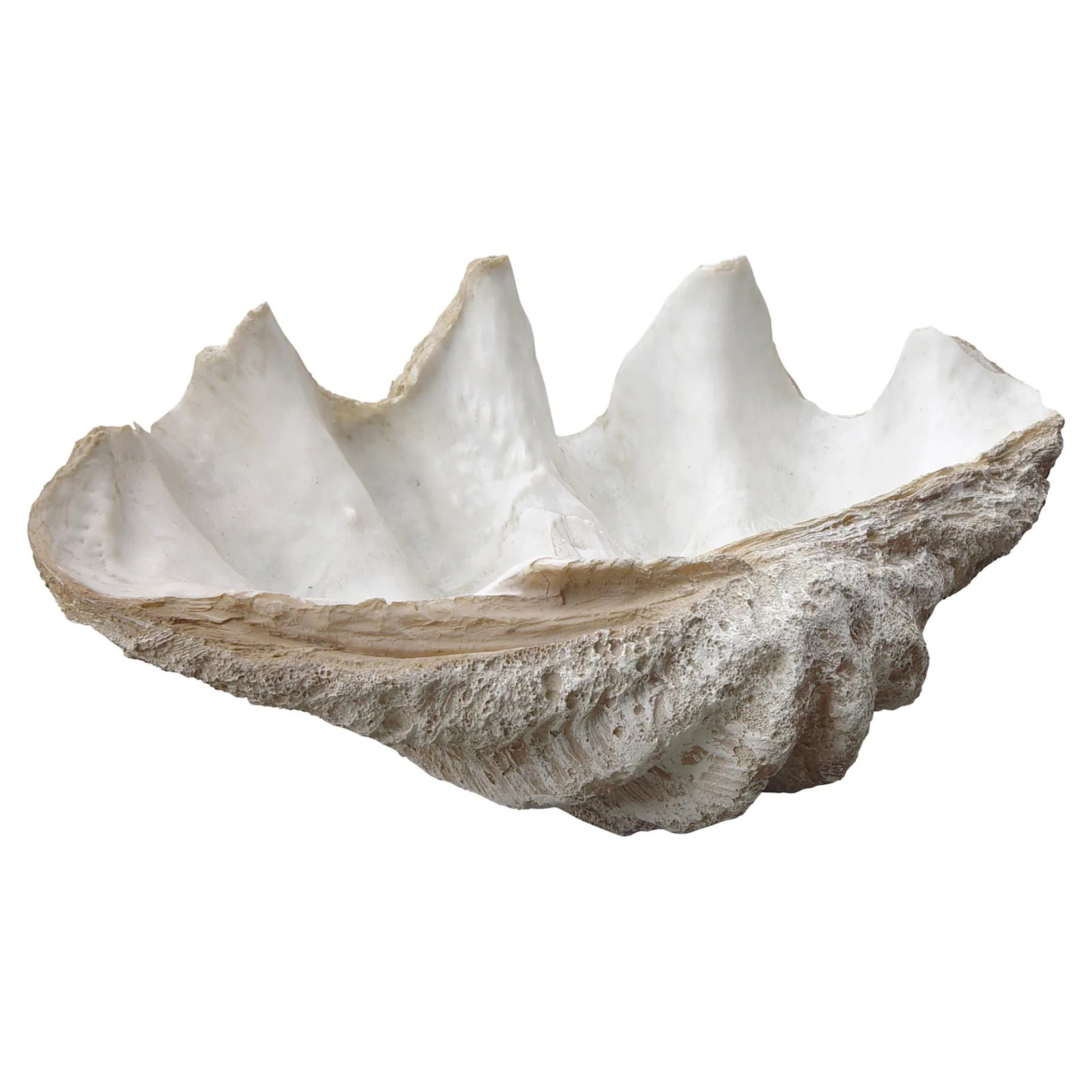 Lombock Clam Shell Ornament - 28W | Kathy Kuo Home