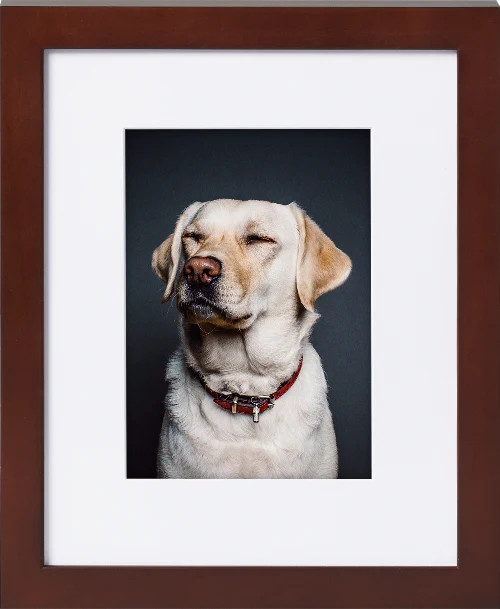 Classic Wall Brown Picture Frame | Print and Frame Photos Online | Frameology