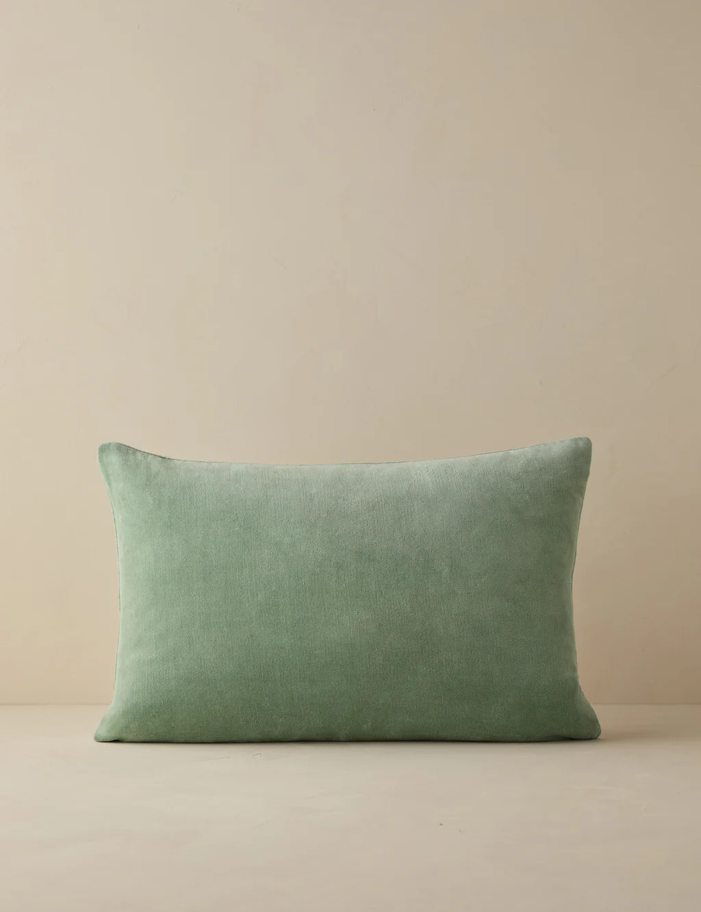 Charlotte Velvet Pillow | Lulu and Georgia 