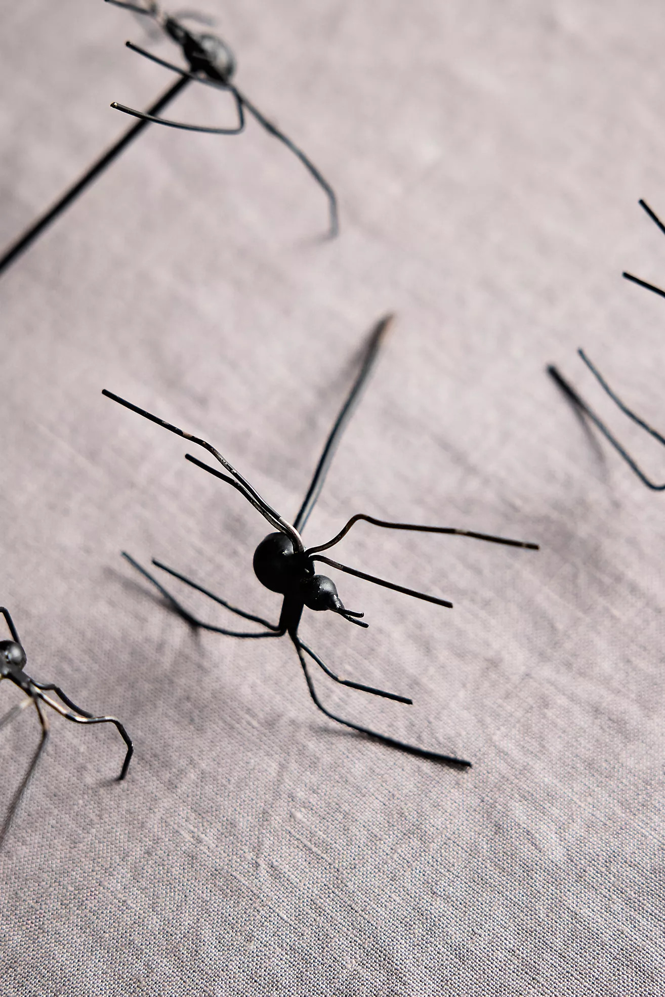 Spooky Spider Pumpkin Stakes, Set of 5 | Anthropologie (US)