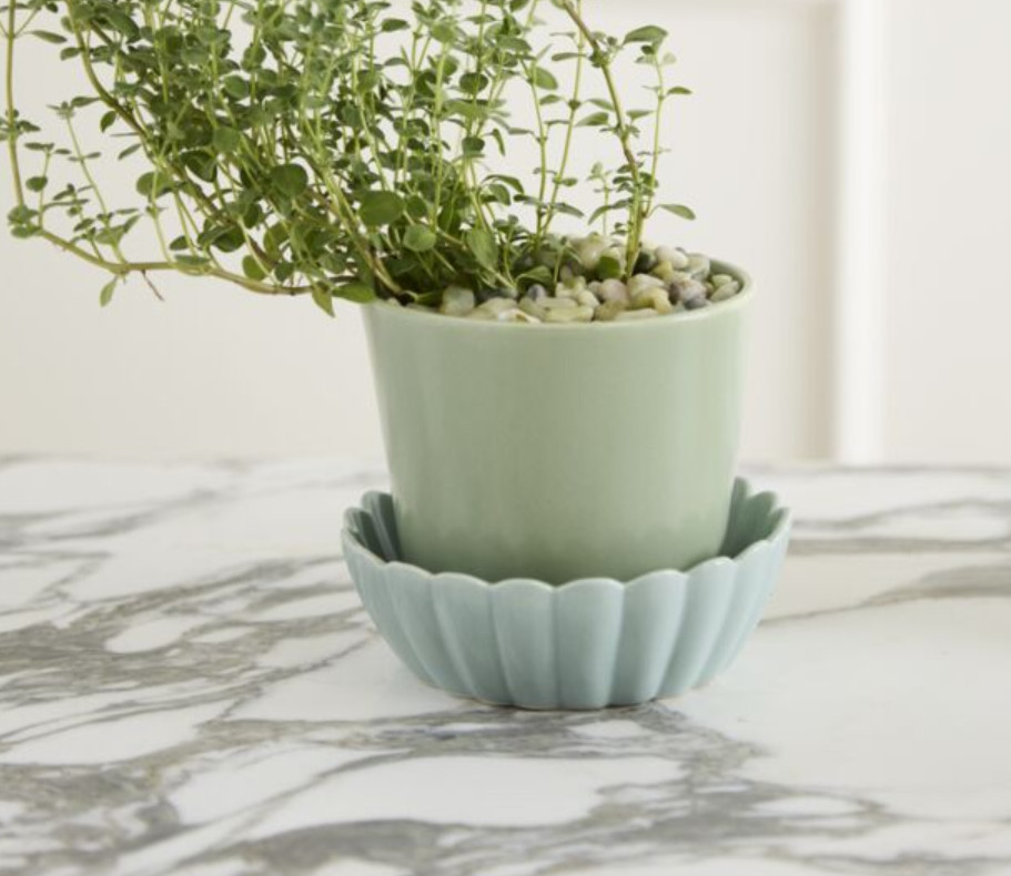 Springvale Pot with Saucer | Green | Fiddle & Fig