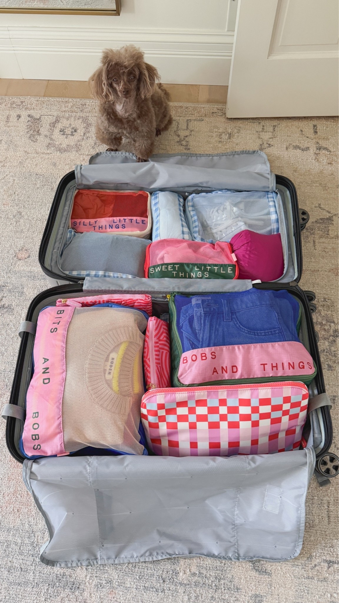 Packing essentials!

#LTKSeasonal #LTKmorningroutine #LTKselfcare