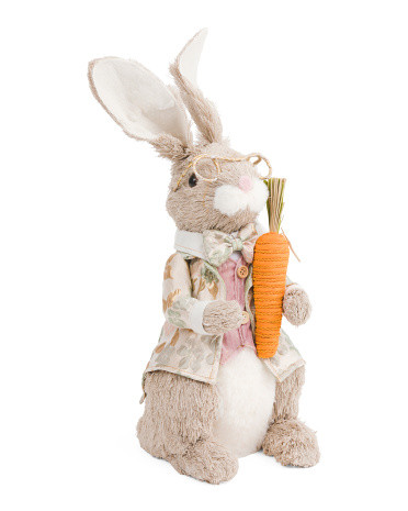 Rabbit Holding Carrot | TJ Maxx