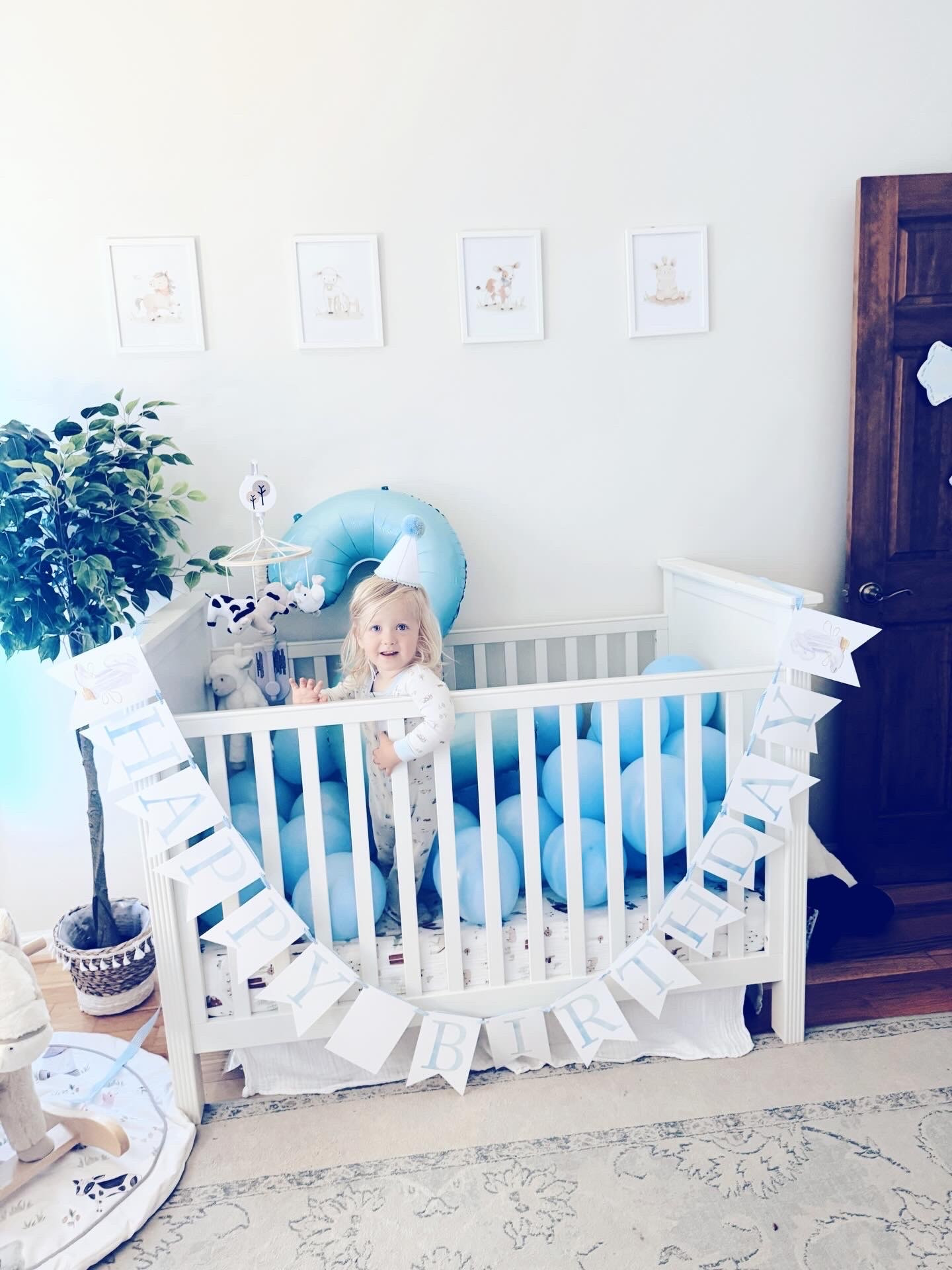 c e l e b r a t e   g o o d   t i m e s 🥳 Happy happy birthday to our little  s o n s h i n e  👶🏼☀️ - oh how we love and adore you, Sweet Baby Levi Rhett!! 🥰 Is there anything cuter than sweet brother besties 👶🏼🩵👶🏼 in a crib full of baby blue balloons?! 🎈#happybirthday #birthdaymorningsweetness 

There’s just nothing I love more than making my babies’ birthday 🎂 mornings 🩵 oh so special!! 💫 Starting with… our “balloons 🎈 in the crib 👶🏼” birthday 🎉 morning tradition!!! 🫶🏽 And yes, I linked 🔗 these adorable pastel blue balloons (that I order every year 😍) over on my LTKit app for y’all - so stinkin’ cute!! 🛒 #birthdaytraditions #birthdayballoons #balloonsinthecrib 

And ofcourse made our signature birthday blue 🩵 sprinkle ✨ pancakes 🥞 for breakfast… and they were quite the hit!! 😋 Oh how I love these sweet May birthday babies 👶🏼 so!!! 💙💫🎉 And now I have both littles napping 💤, finishing up packing our bags 💼, and we will be headed out the door 🚪 once “Dada” gets home to spend MDW 🇺🇸 down by the sea 🌊 with family (& do a little birthday 🎂 celebration 🎉 later tonight for Sweet Baby Levi Rhett at the beach house🧁)!! 🏝️😍 Happy Friday and MDW, y’all!! ❤️🤍💙