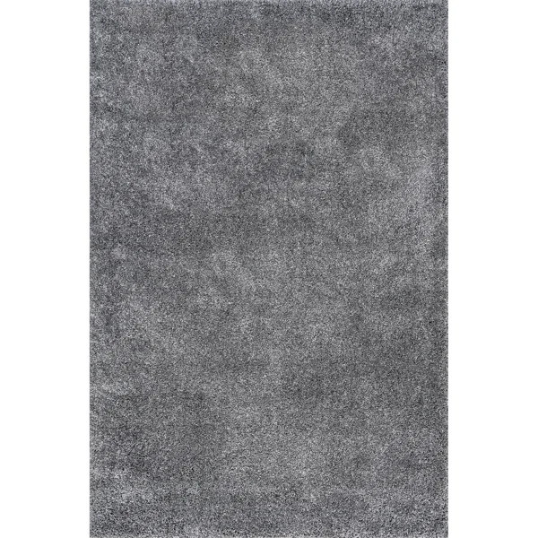Conye Performance Grey Shag Area Rug | Wayfair North America