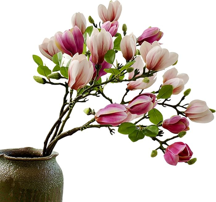 Elegant Artificial Magnolia Flower Stems(Not Included Vase), Half-Bloom Faux Magnolia Branches fo... | Amazon (US)