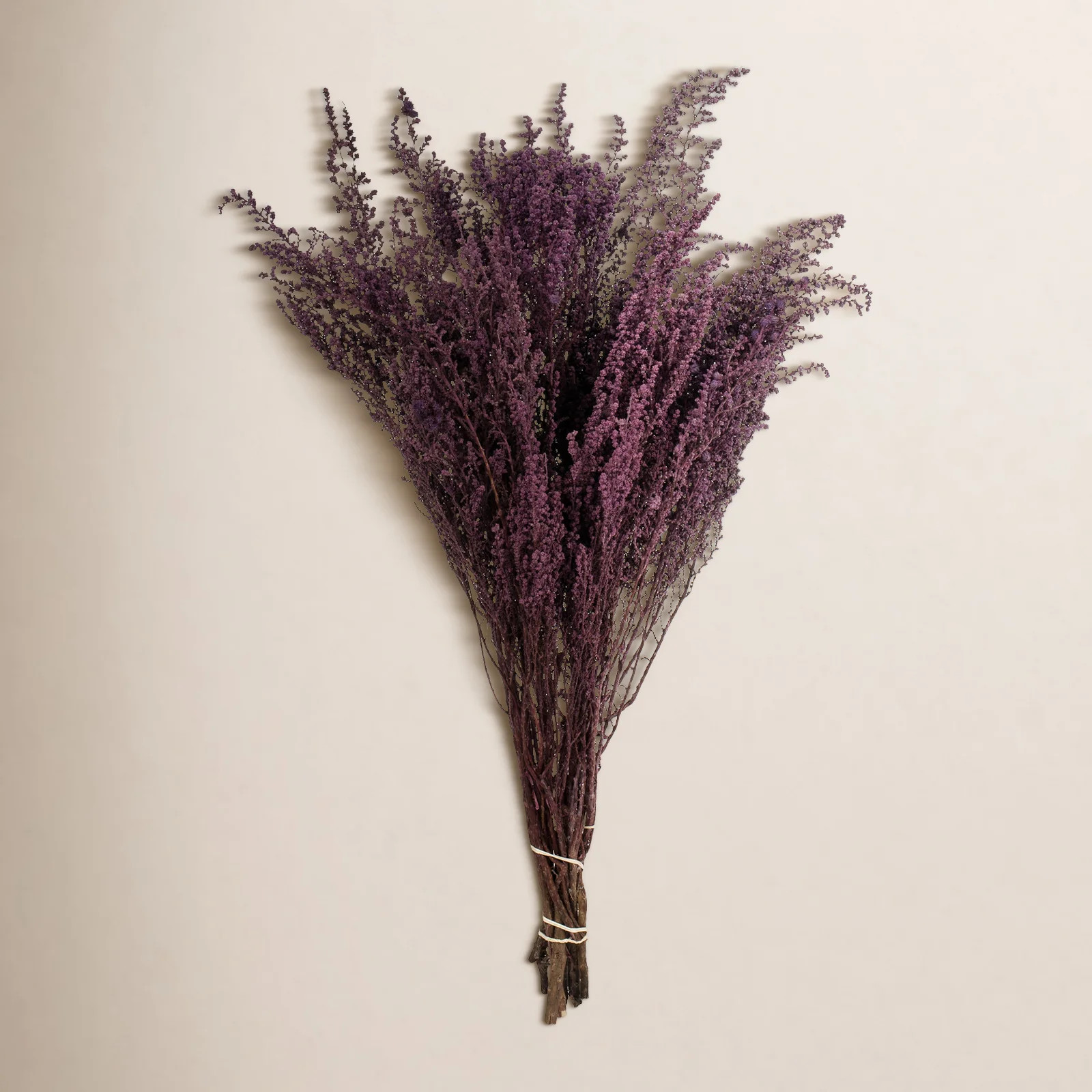 Primrue Preserved Stoebe Stems & Reviews | Joss & Main | Joss & Main