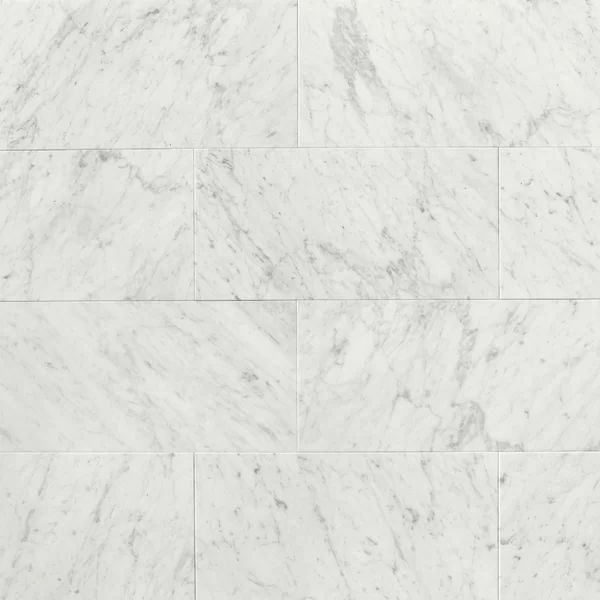 12" x 24" Marble Marble Look Wall & Floor Tile | Wayfair North America