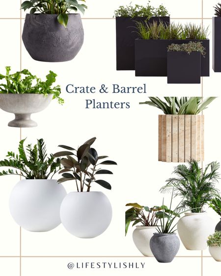 Splurge were the modern crate and barrel planters featuring large white planters that add a chic vibe to any porch or patio  

#LTKSeasonal #LTKFind #LTKhome